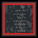 Sana-u-Allah Herani 01 * 22.03.2008 * 437 x 674 * (37KB)